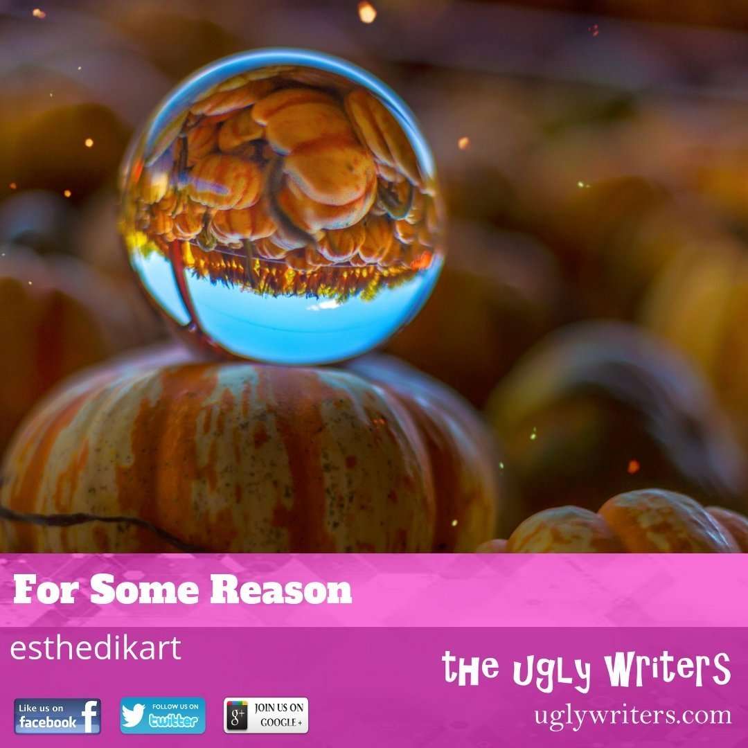 the ugly writers
