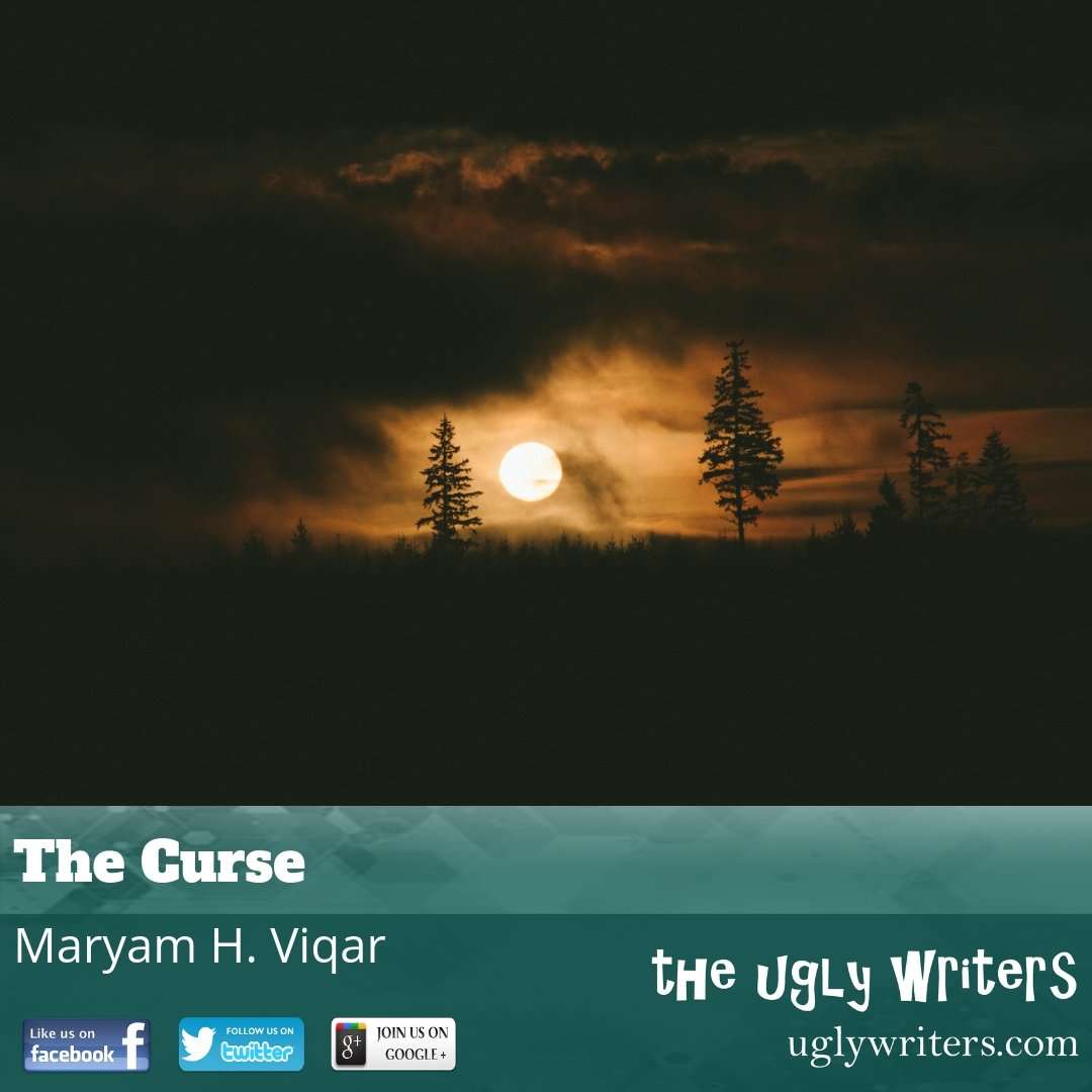 the ugly writers