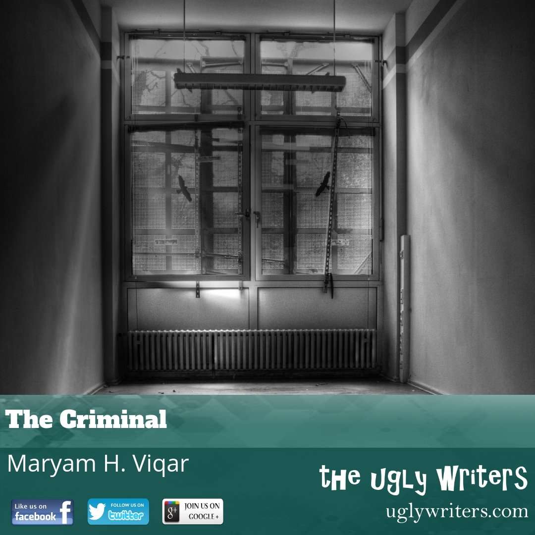 the ugly writers