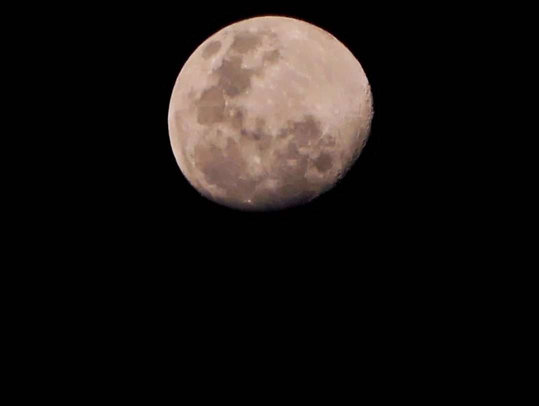 6130609-01