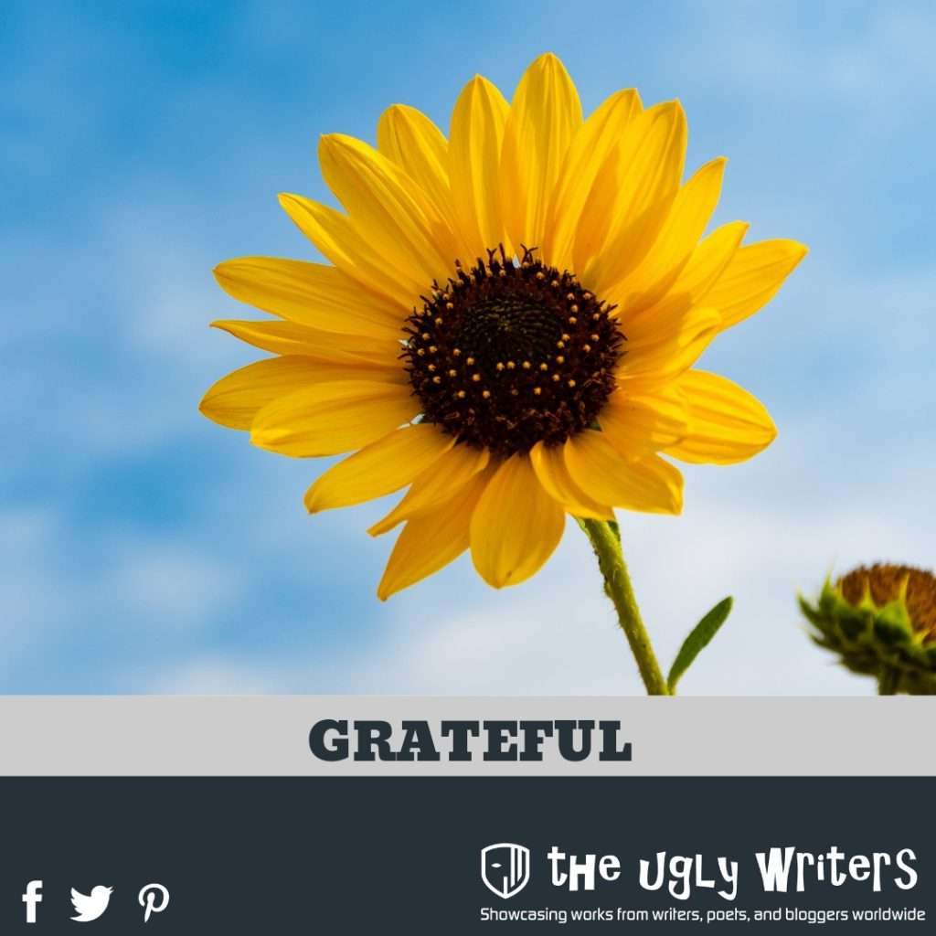 the ugly writers