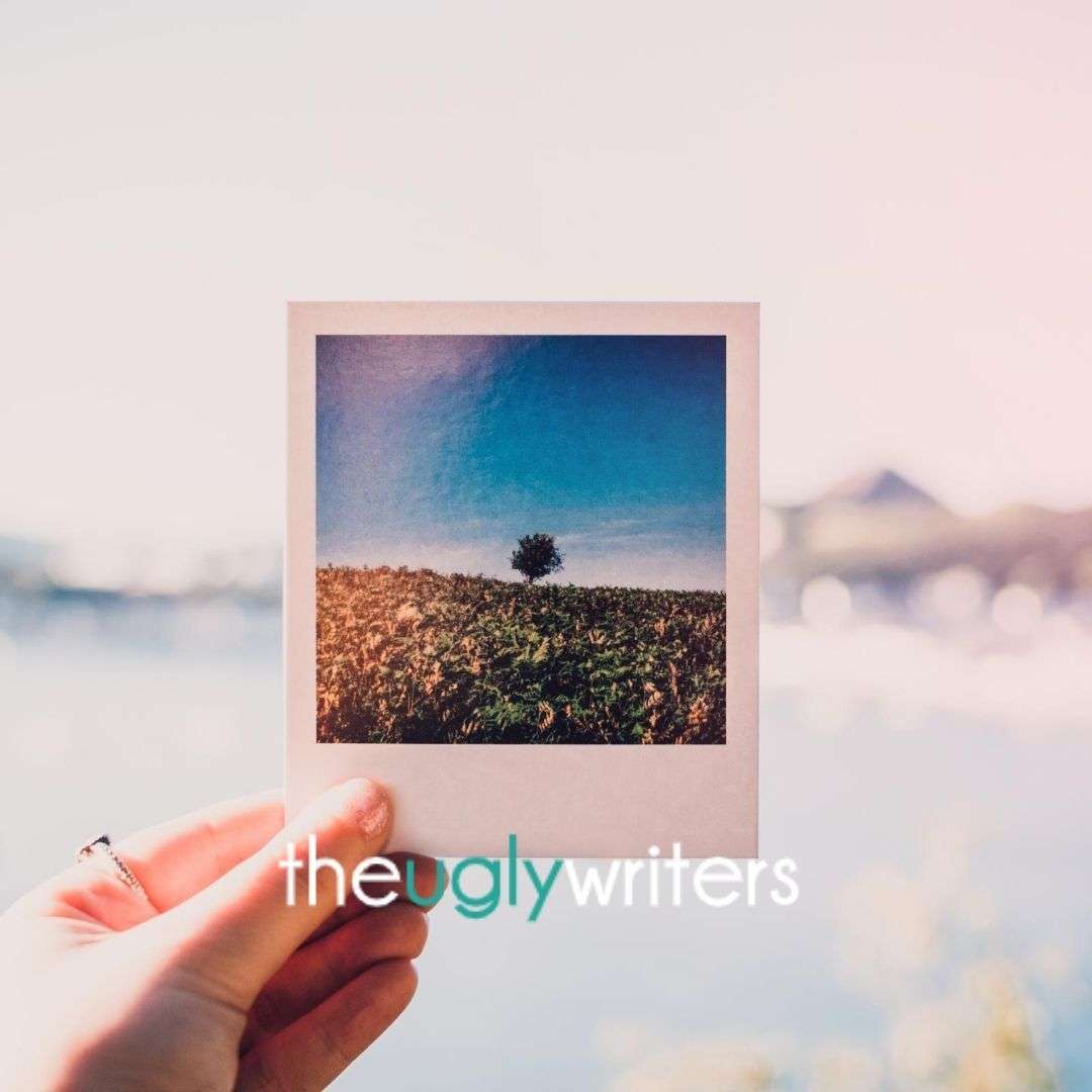 the ugly writers