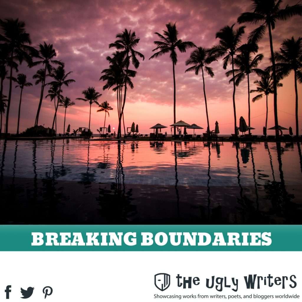 the ugly writers