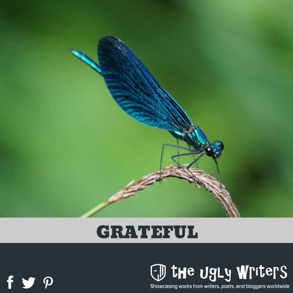 the ugly writers