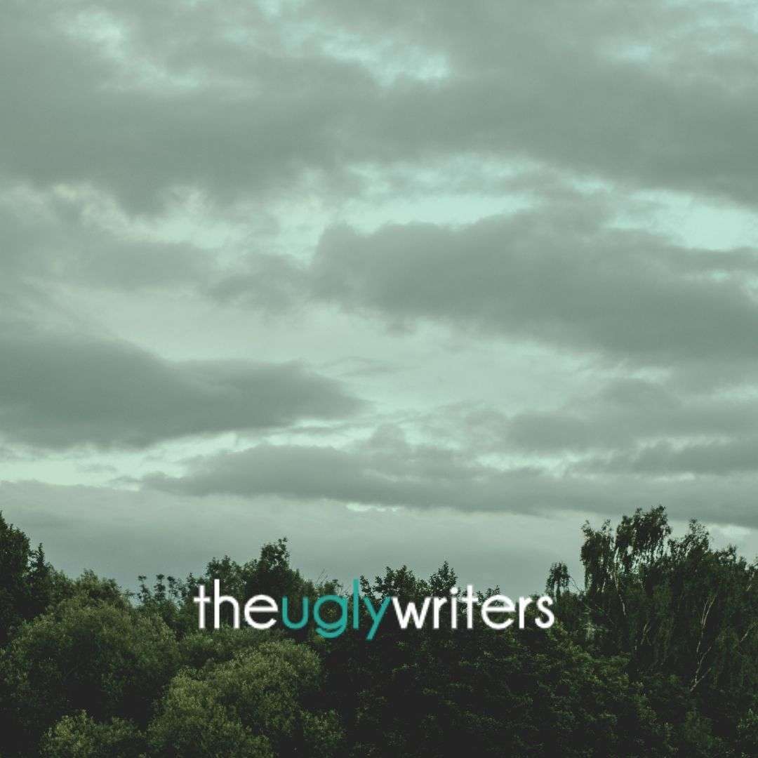 the ugly writers