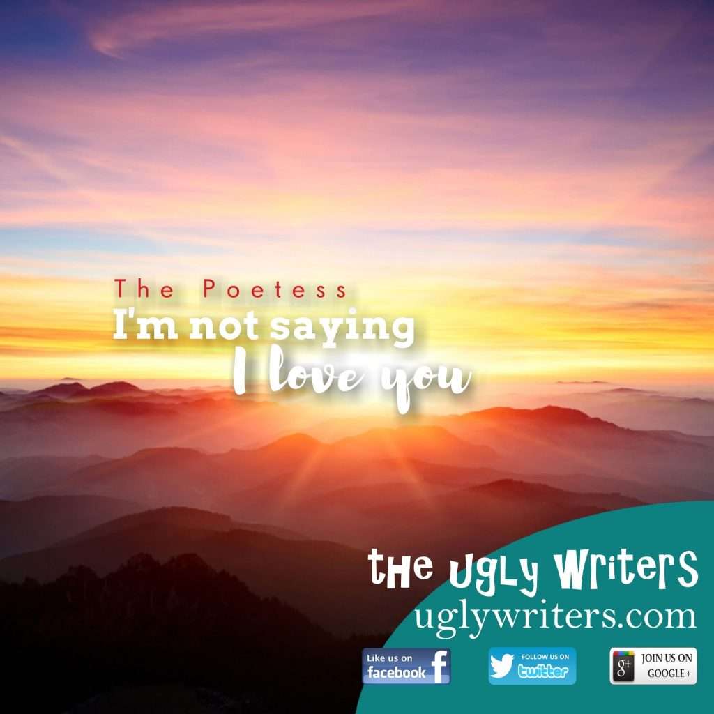 the poetess the ugly writers i love you