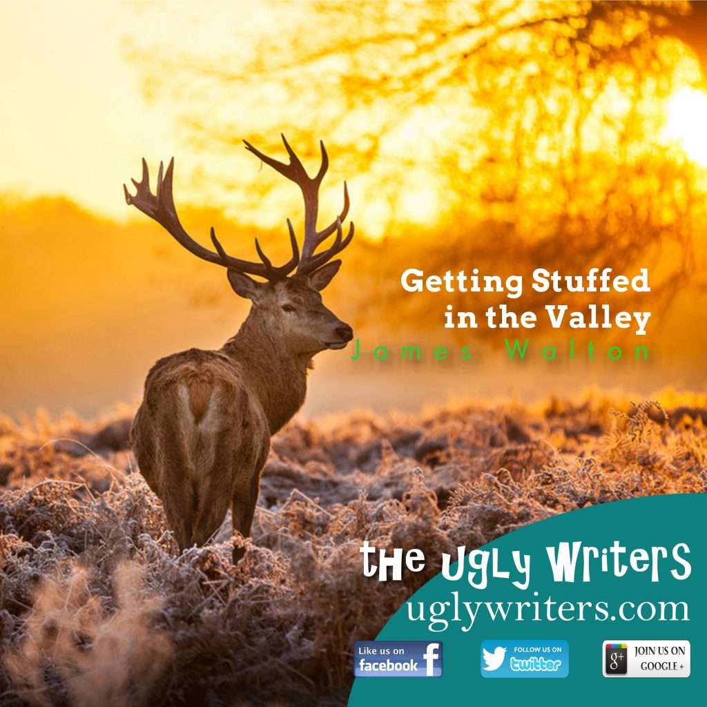 the ugly writers