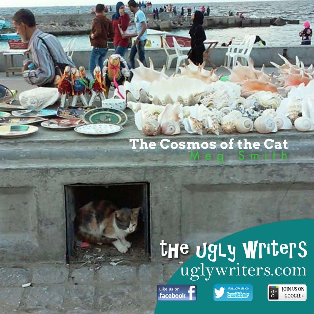 cosmos of the cat the ugly writers