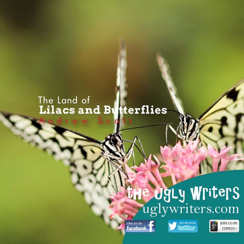 lilacs and butterflies the ugly writers