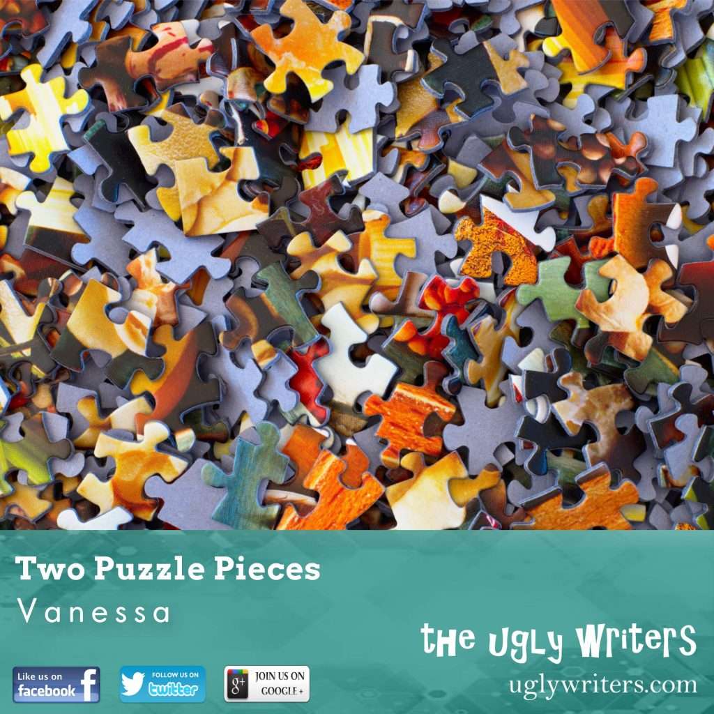 Two Puzzle Pieces