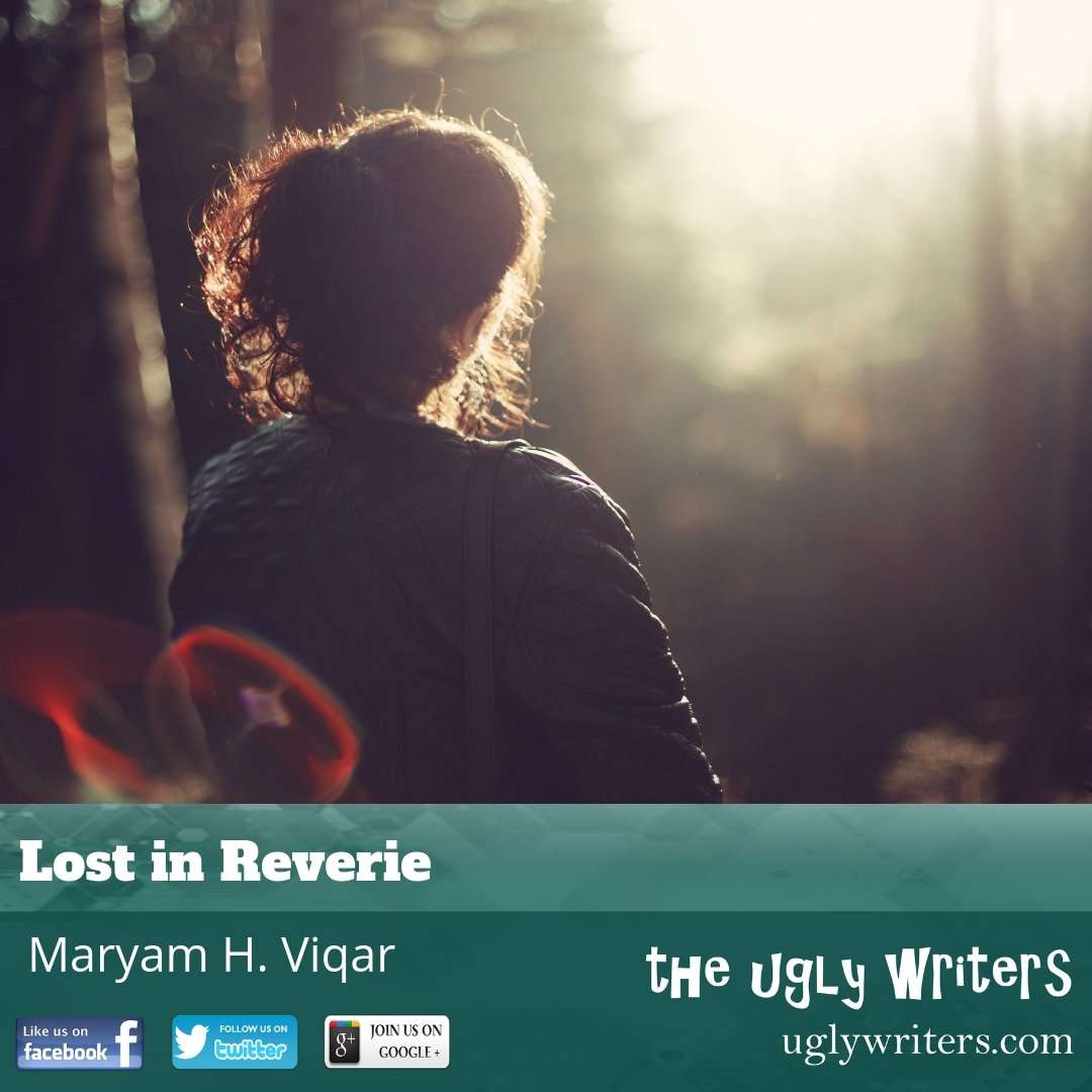 the ugly writers