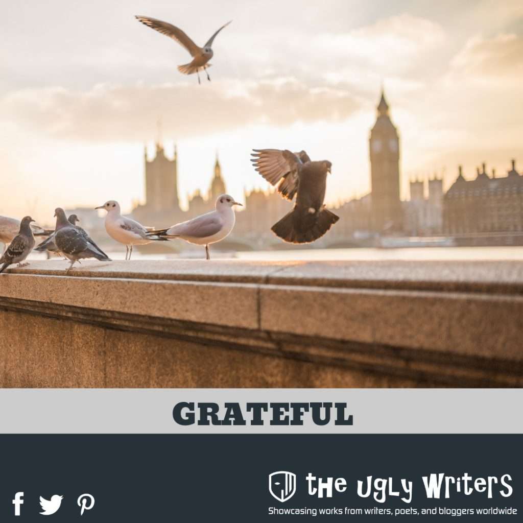 the ugly writers