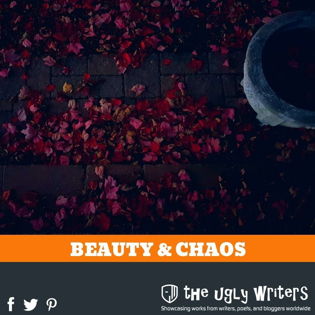 the ugly writers