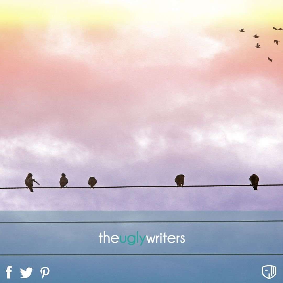 the ugly writers