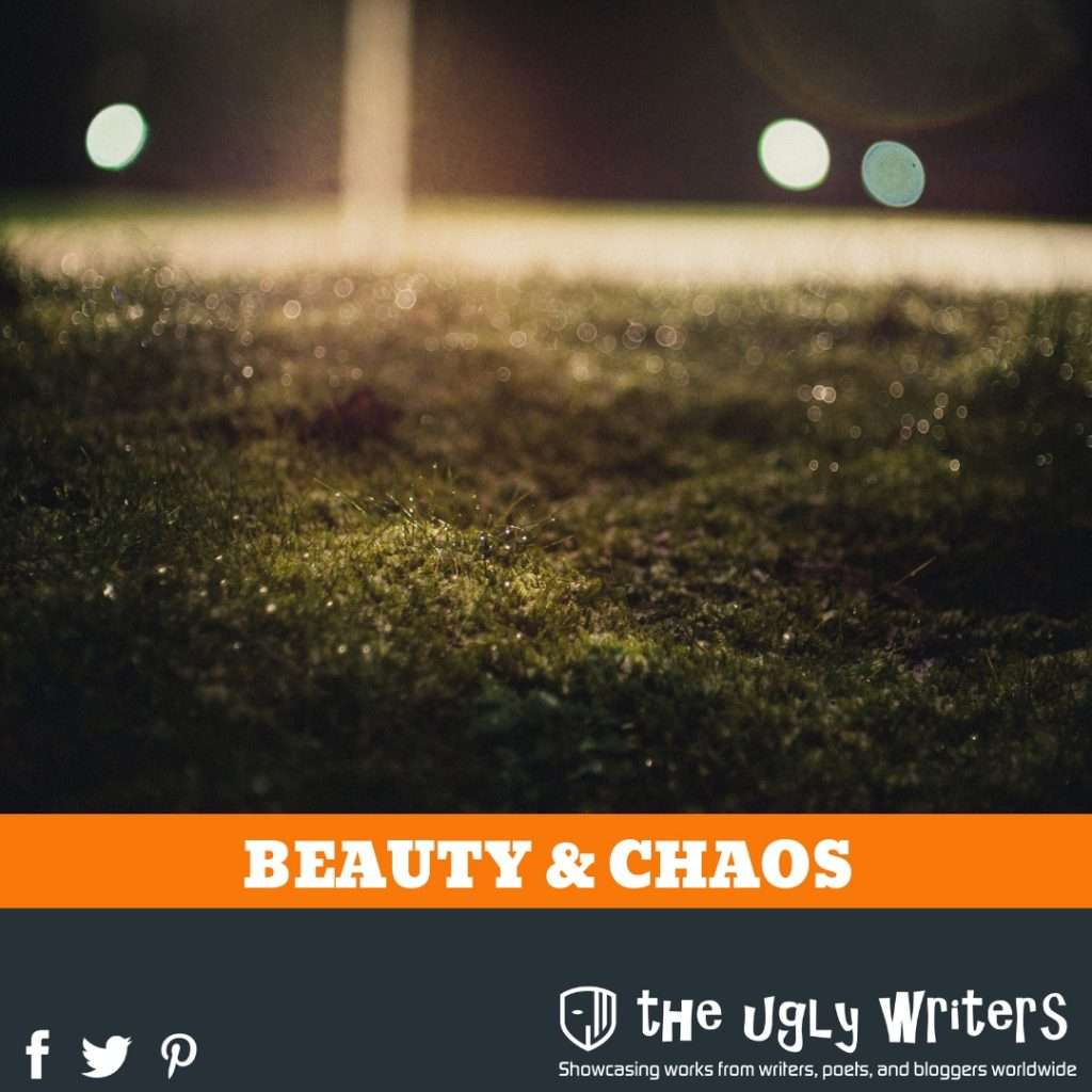 the ugly writers