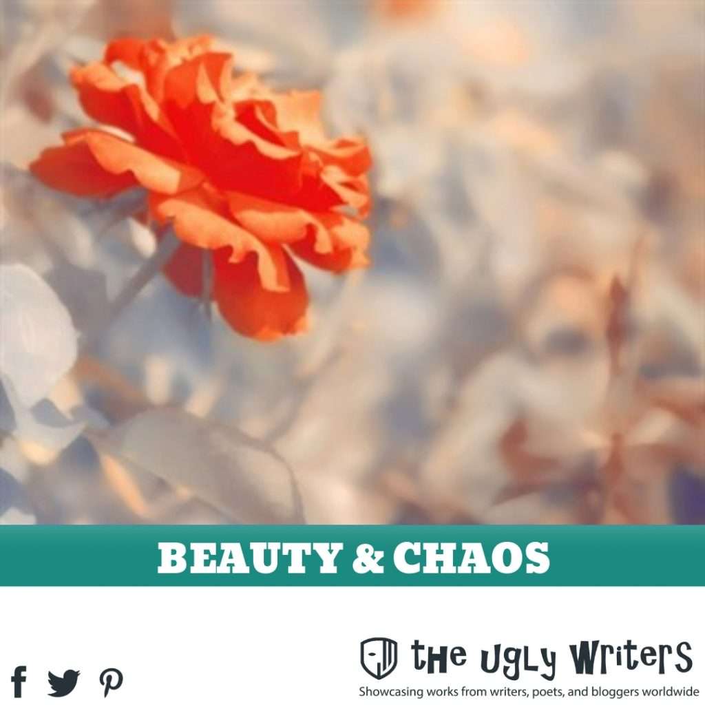the ugly writers