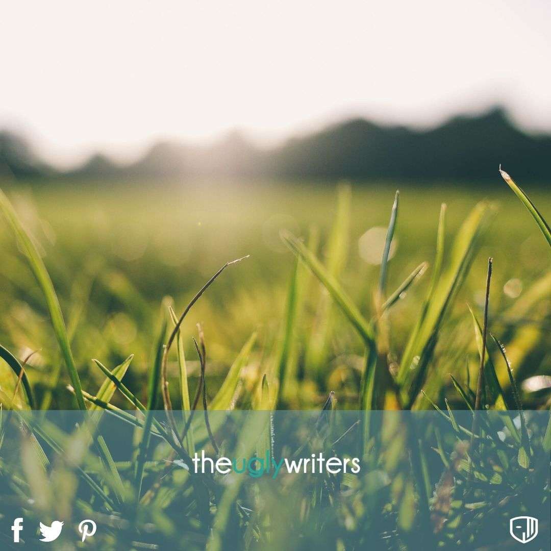 the ugly writers