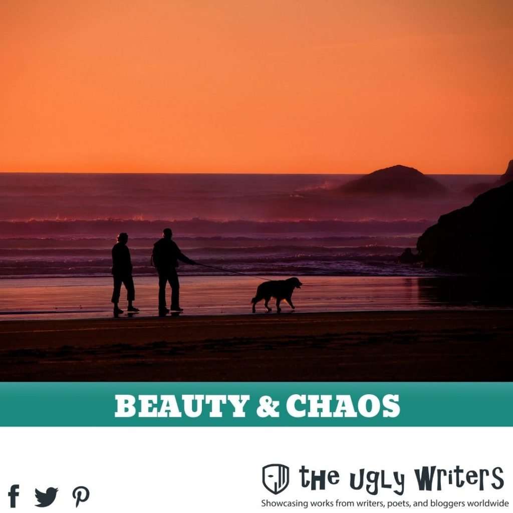 the ugly writers