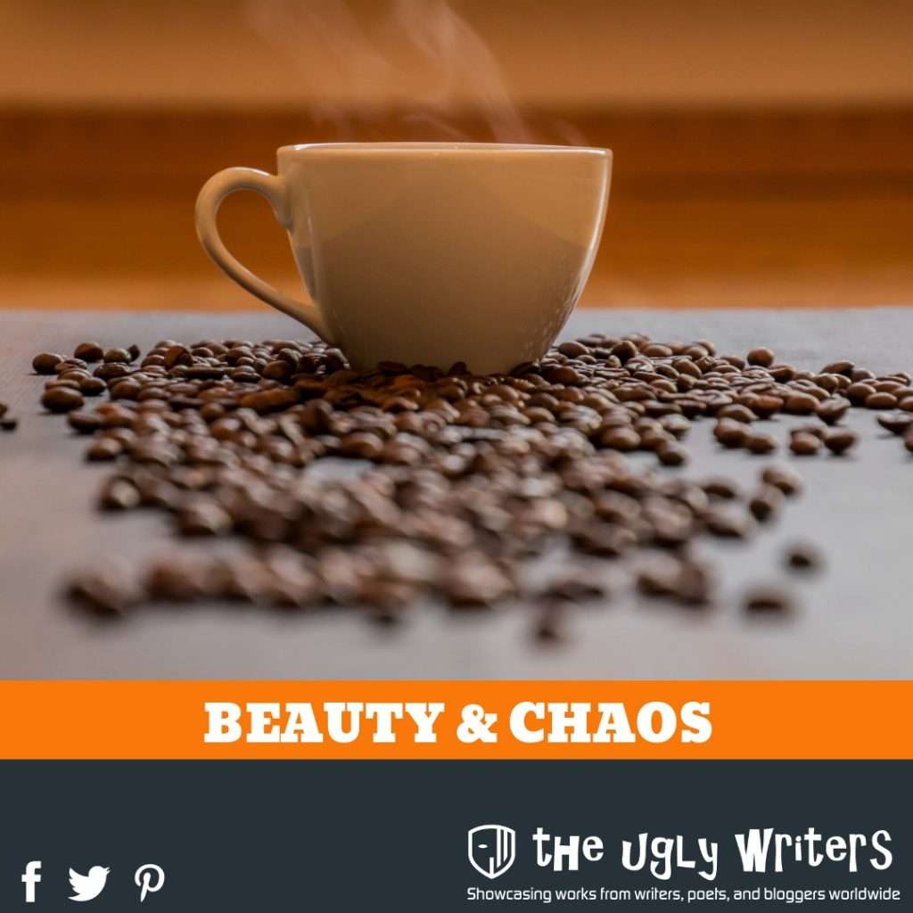 the ugly writers