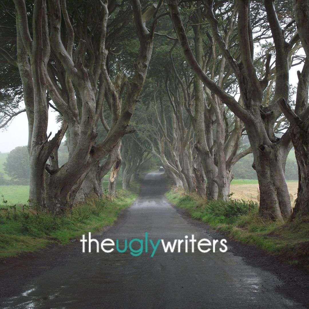 the ugly writers