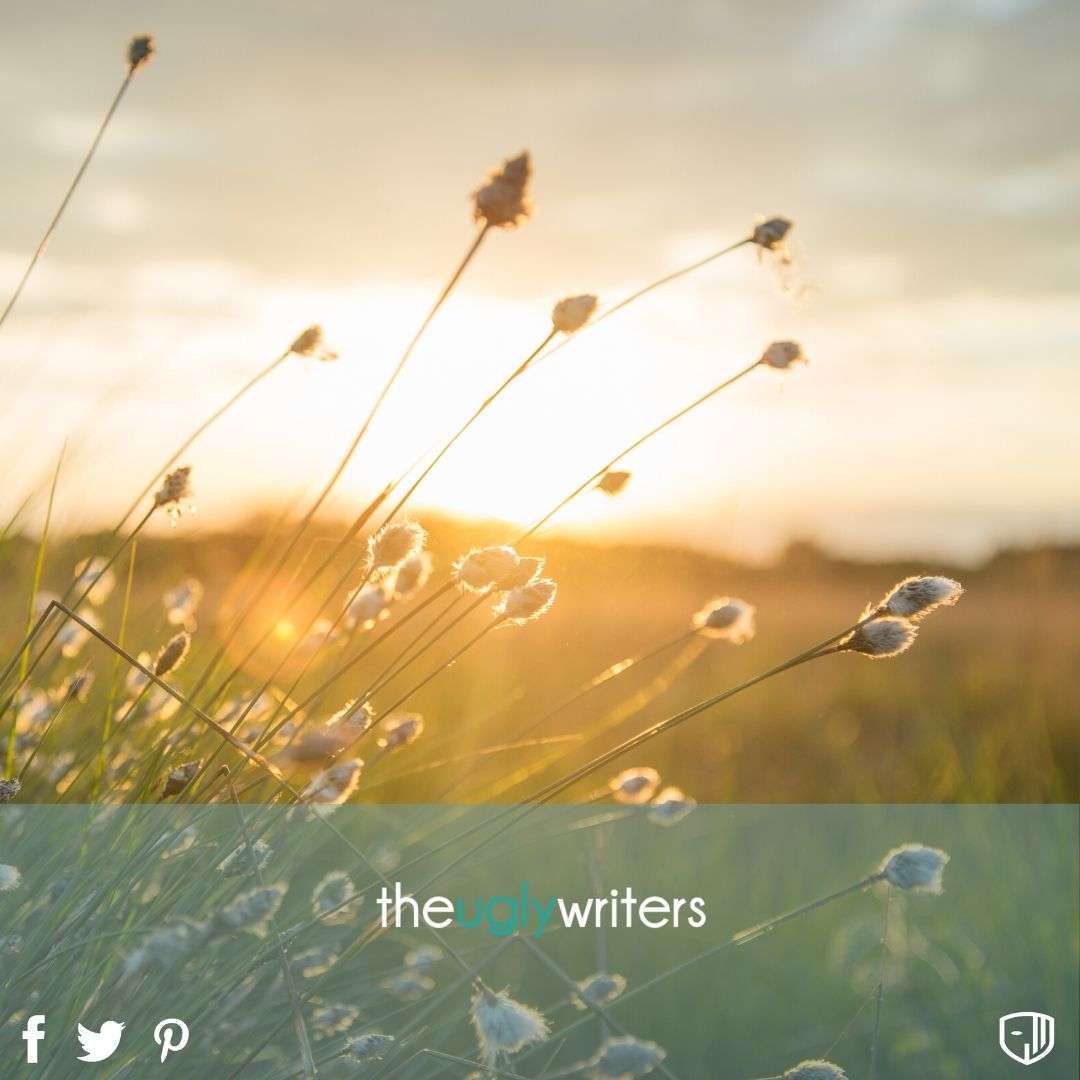 the ugly writers