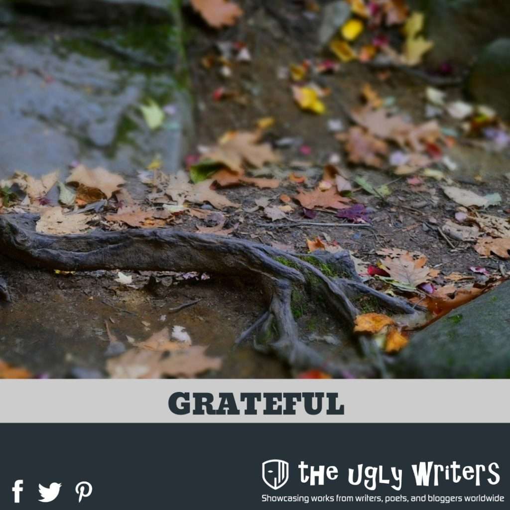the ugly writers