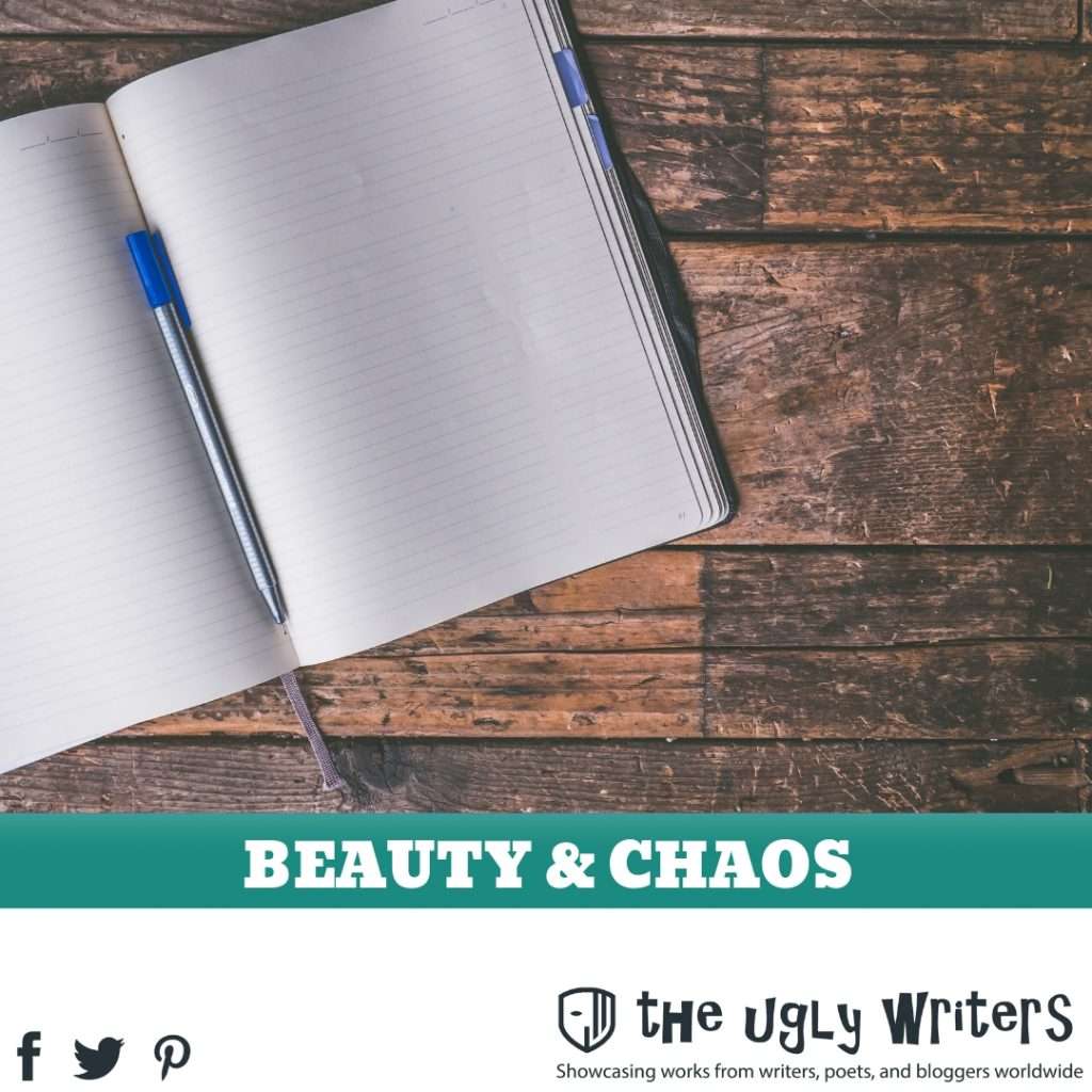 the ugly writers